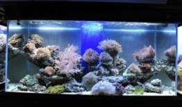 日胜鱼缸安装视频,轻松掌握鱼缸搭建步骤