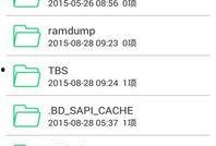 久久热r在线视频精品