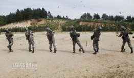 扔手榴弹视频,手榴弹投掷实战演练全程回顾