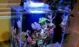 日胜鱼缸安装视频,轻松掌握鱼缸搭建步骤