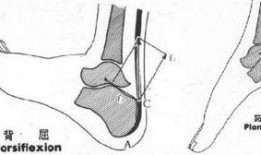 屈踝视频,轻松掌握踝关节灵活性训练
