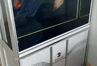 日胜鱼缸安装视频,轻松掌握鱼缸搭建步骤