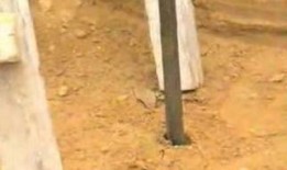 堵漏王施工视频教程,高效解决漏水难题的实用指南