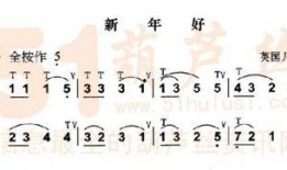 葫芦丝新年好教学视频,轻松入门，欢庆佳节
